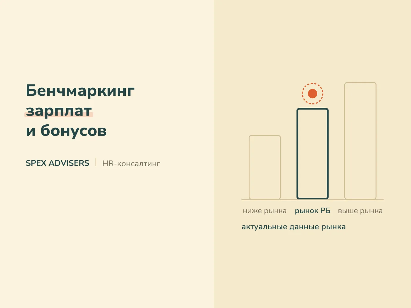 Бенчмаркинг зарплат и бонусов — HR-консалтинг в Беларуси (Spex Advisers)