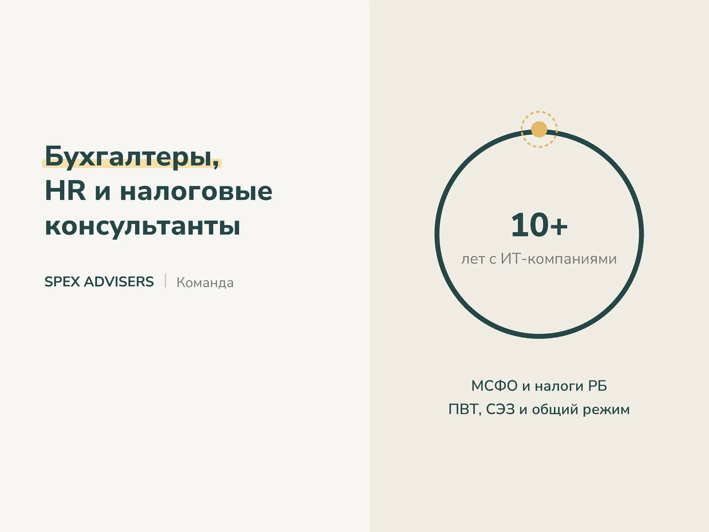 Бухгалтеры, HR и налоговые консультанты — бухгалтерские услуги в Беларуси (Spex Advisers)