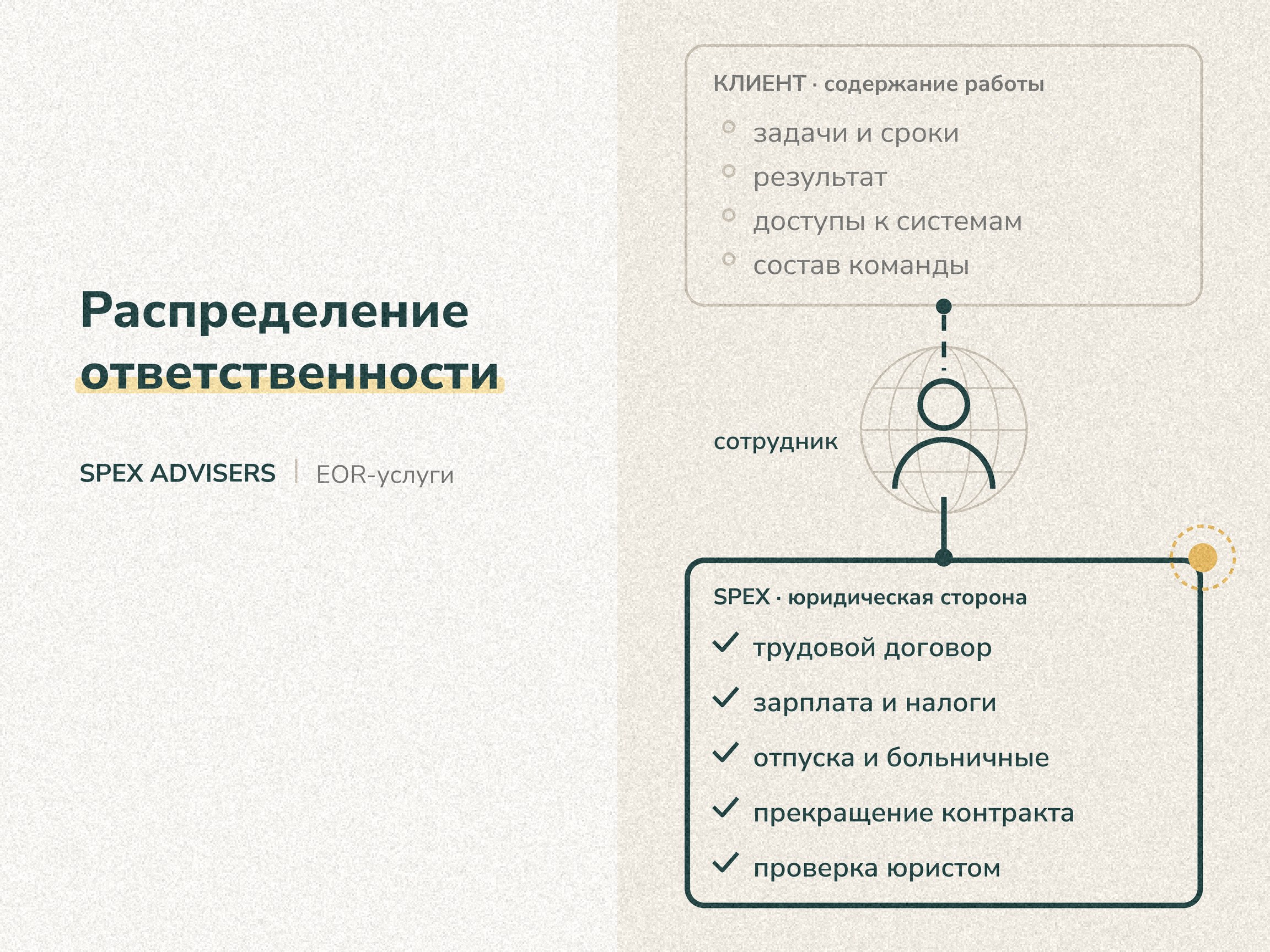 Распределение ответственности — EOR в Беларуси (Spex Advisers)