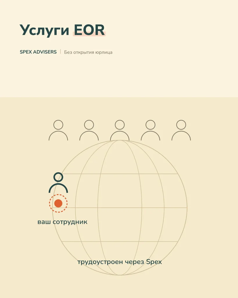 Услуги EOR в Беларуси — трудоустройство без открытия юрлица (Spex Advisers)