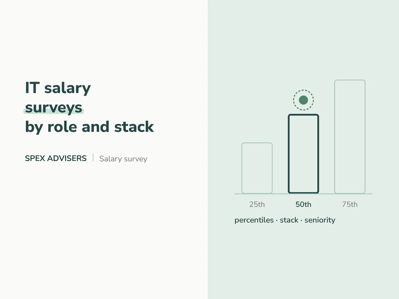 IT salary surveys by role and stack — salary survey in Belarus (Spex Advisers)