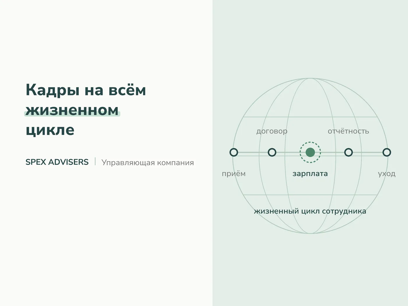 Кадры на всём жизненном цикле — услуги управляющей компании в Беларуси (Spex Advisers)