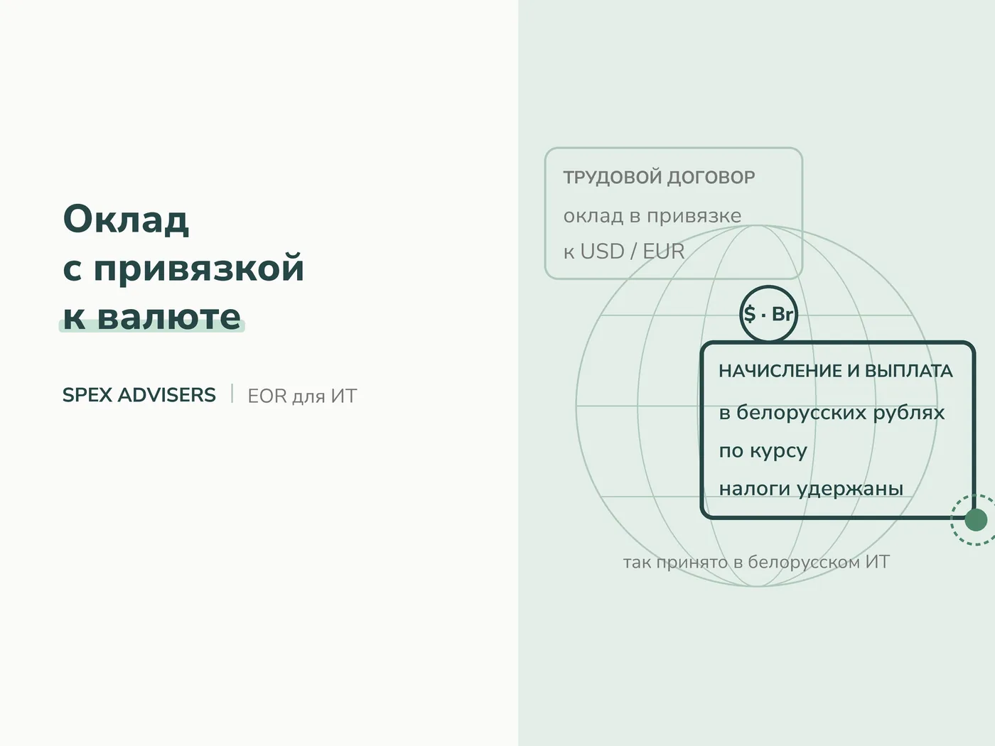 Оклад с привязкой к валюте — EOR-услуги для ИТ-компаний в Беларуси (Spex Advisers)