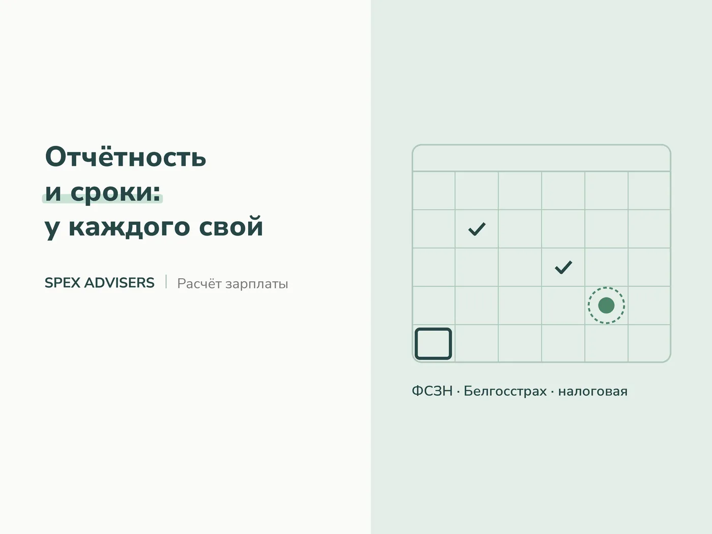 Отчётность и сроки: у каждого свой — расчёт заработной платы в Беларуси (Spex Advisers)