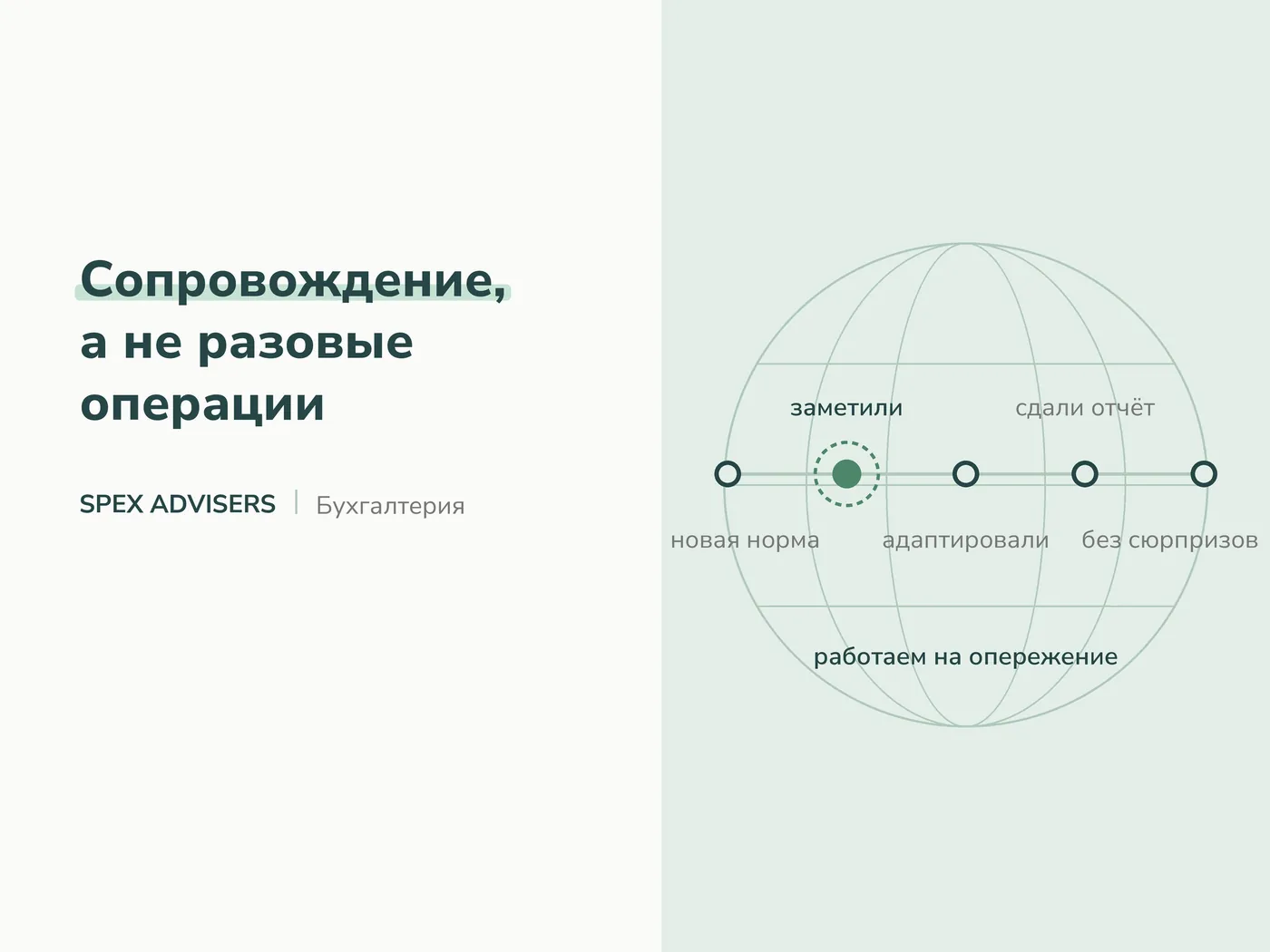 Сопровождение, а не разовые операции — бухгалтерские услуги в Беларуси (Spex Advisers)