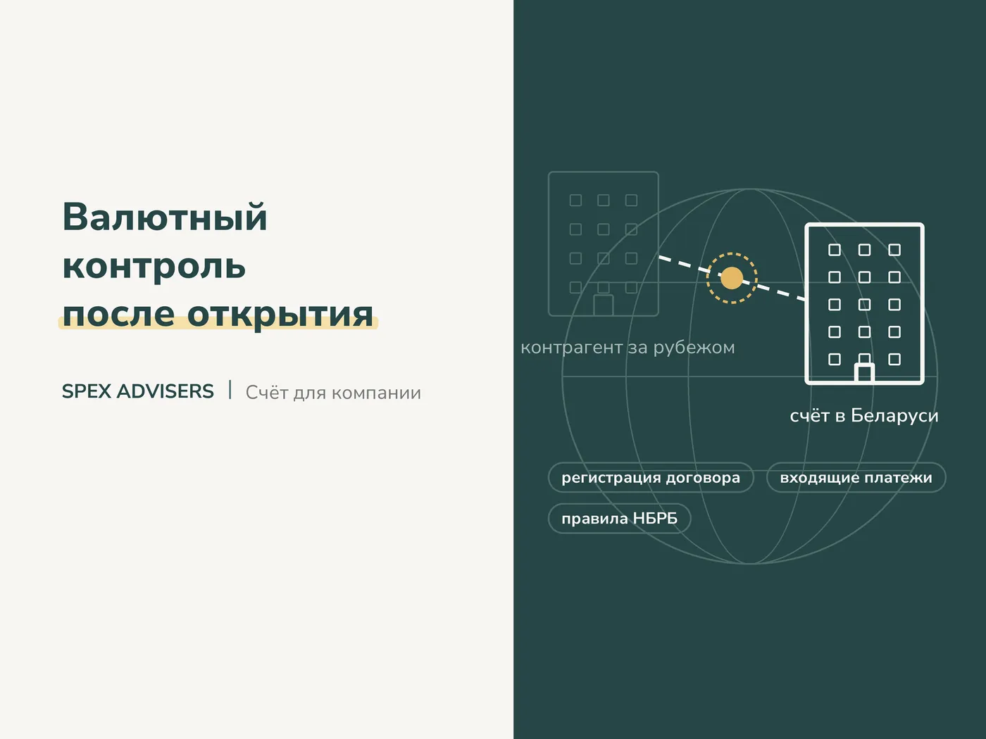 Валютный контроль после открытия — открытие счёта для компании в банке Беларуси (Spex Advisers)